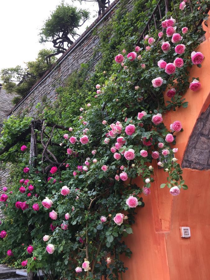 View & Wine Bed & Breakfast Canelli Ngoại thất bức ảnh